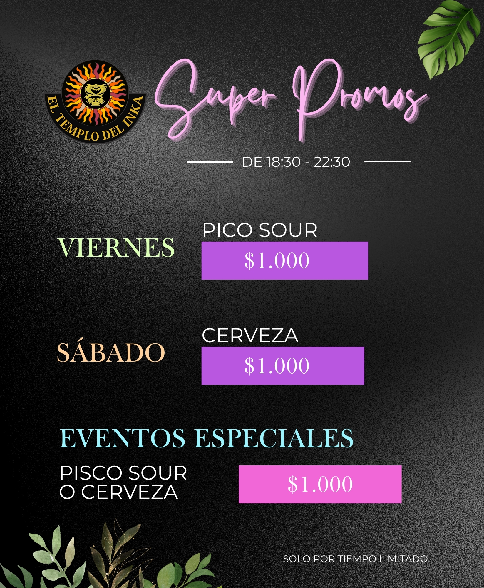 Página 14 de la carta de noche